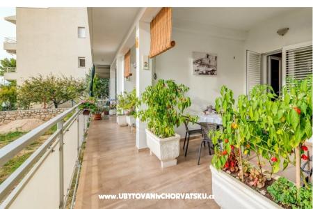 Apartments Mila Tomasović photo 3