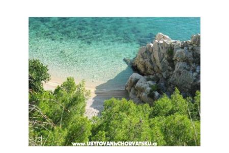 Apartments Mirjana photo 5