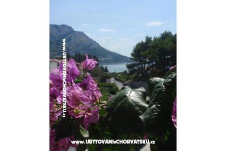 Apartments Vinka Saric photo 2