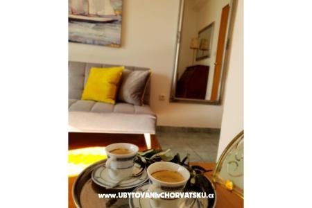 Apartments Tino photo 3