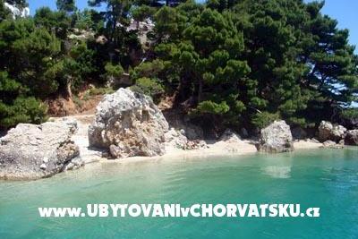 Apartments Marija Medic photo 5