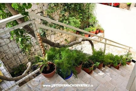 Main Square Apartment photo 5