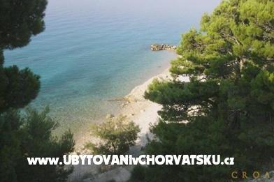 Pension Šarić photo 4