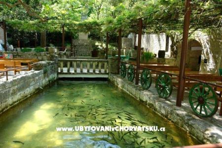 Rooms & Restaurant Radmanove mlinic photo 2
