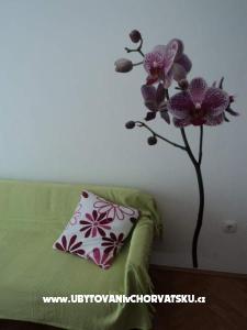 Vila Danica photo 2