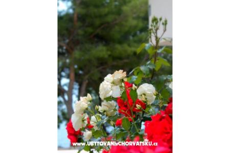 Villa Golubinka photo 5