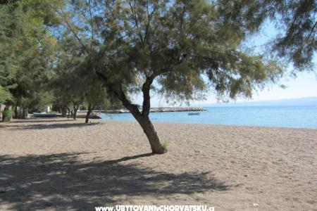 Villa Grana photo 5
