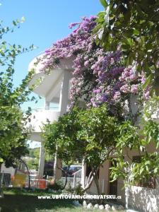 Villa Marko, Stanići photo 3