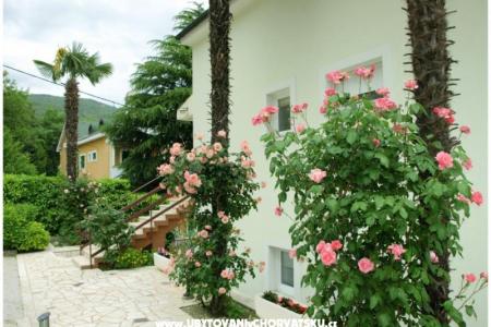 Apartment Meri photo 5