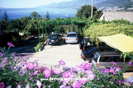 Apartments & rooms Jusic photo 2