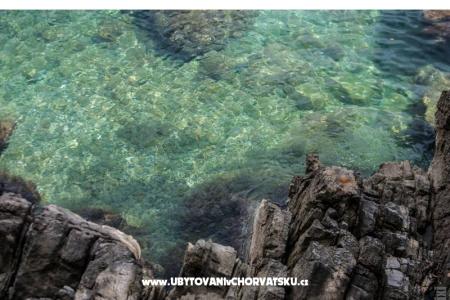 Garden of Pleasure photo 4