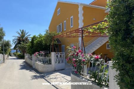 Apartments  Ante photo 2