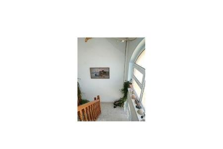 Apartments Antonia photo 4
