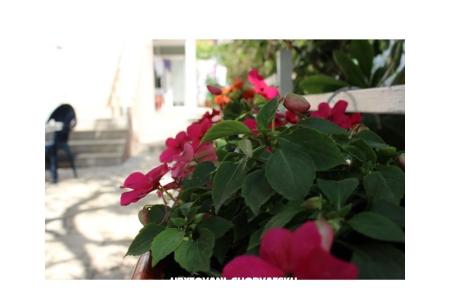 Apartments Tanja photo 3