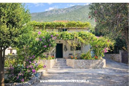 House  Mokalo – Orebic - Peljesac Croatia