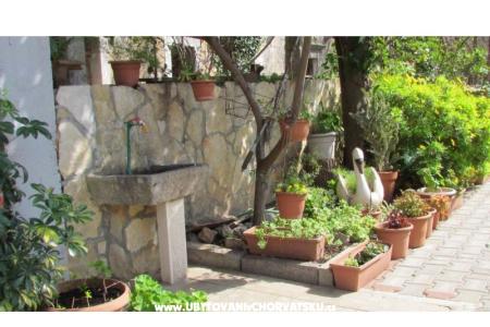 Vacation house  photo 2