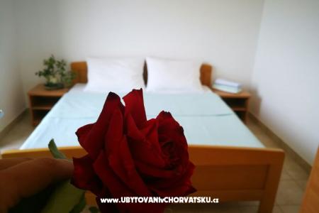Apartments Elenor photo 4