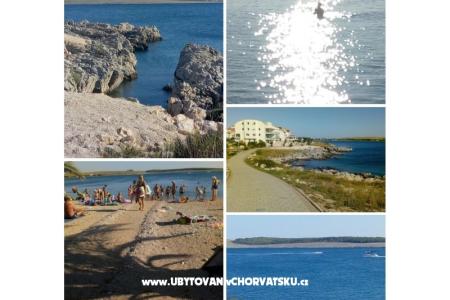 Apartments Lili photo 4