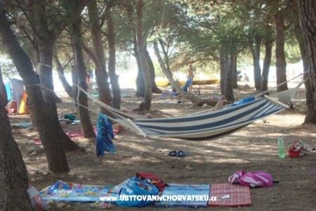 Apartments Lili photo 5