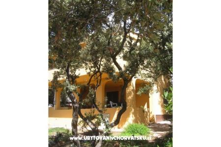 Apartments Marijana Mandre photo 3