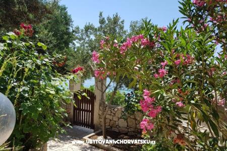 Apartments Milena i Robert photo 2
