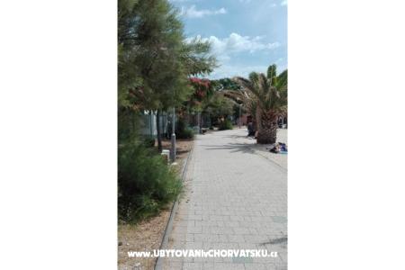 Apartments Petra photo 5