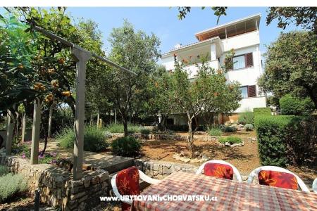 Apartments Salvia island Pag Mandre photo 2