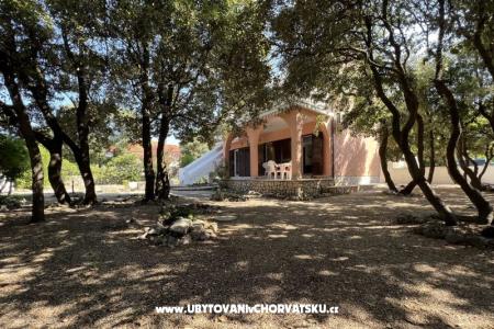 Simuni Holiday home photo 3