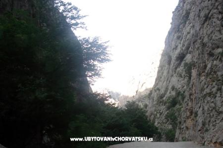 Apartments vesela photo 5