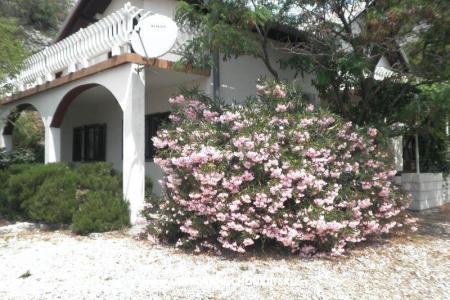 Vacation house Beli photo 2