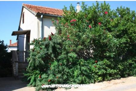 Apartment Marko photo 4