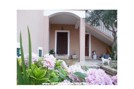 Apartments Antonela photo 2