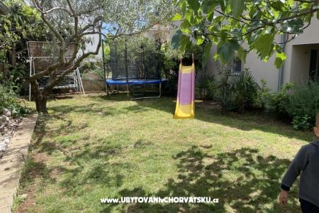 Apartments Iva photo 4
