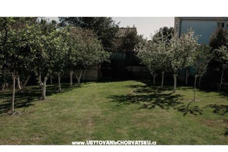 Apartments Ivišić photo 5