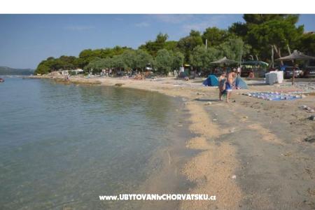 IVA 2 photo 3