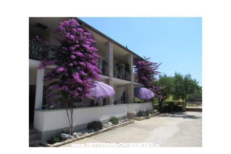 Apartments Pipi photo 3