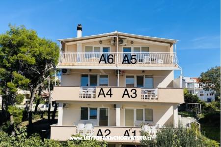 Seaview House photo 4