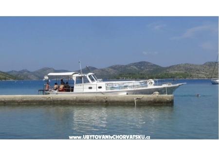 Tourist boat - Robinson Tourism photo 4