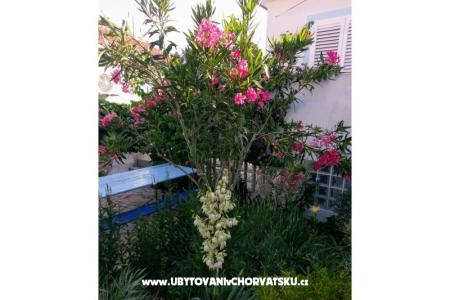 Apartments Marija-Tkon photo 3