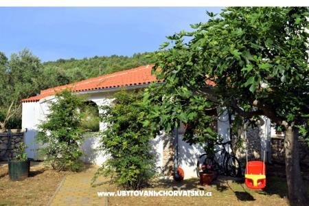 Apartments Erna photo 4