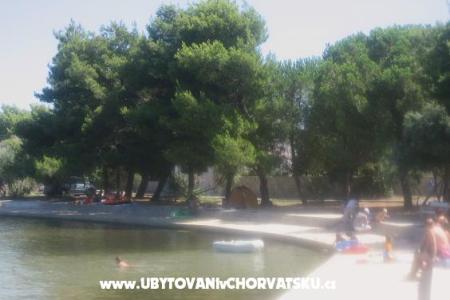 Apartments Maslina photo 4