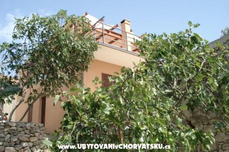 apartman Barbara photo 4