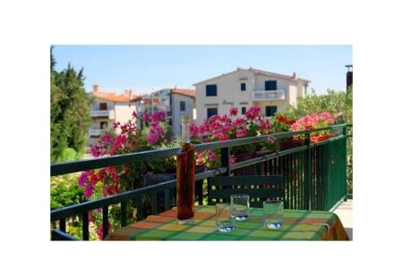 Apartments Danica photo 5