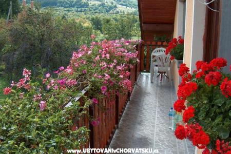 Apartma Hodak photo 2