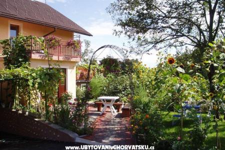 Apartma Hodak photo 3