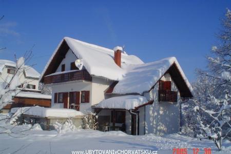 House Tudic photo 4