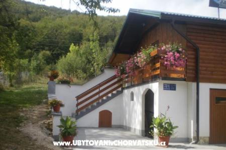 House Omorika photo 2