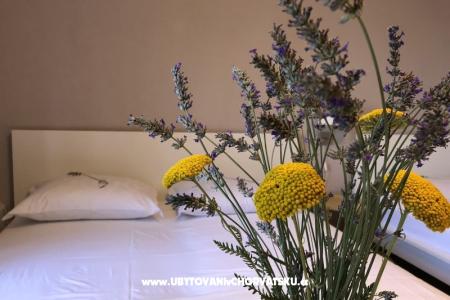 Apartments Sumić photo 3