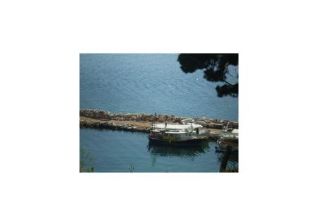 Apartments Antonela photo 4