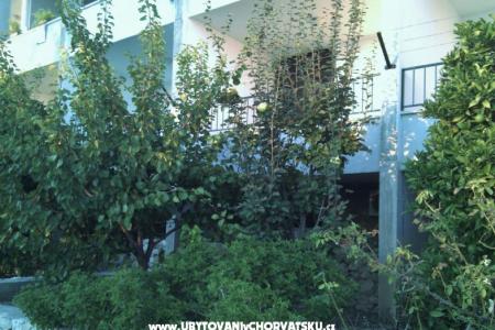 Apartments Brusje photo 3